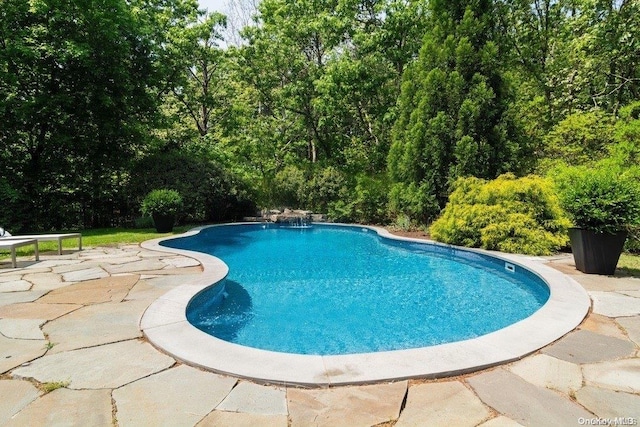 view of pool featuring a patio area