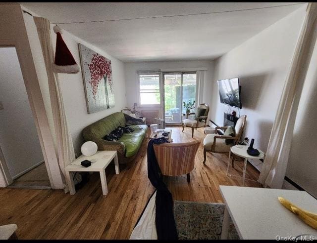 living room with hardwood / wood-style floors