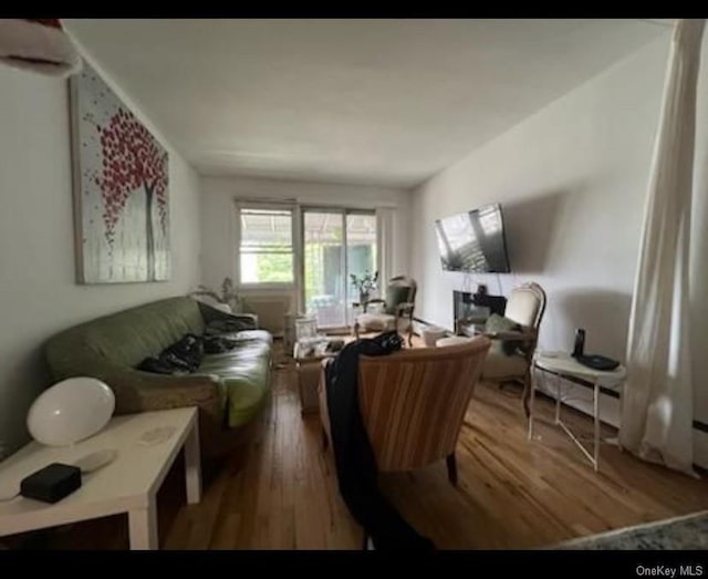 living area featuring wood finished floors