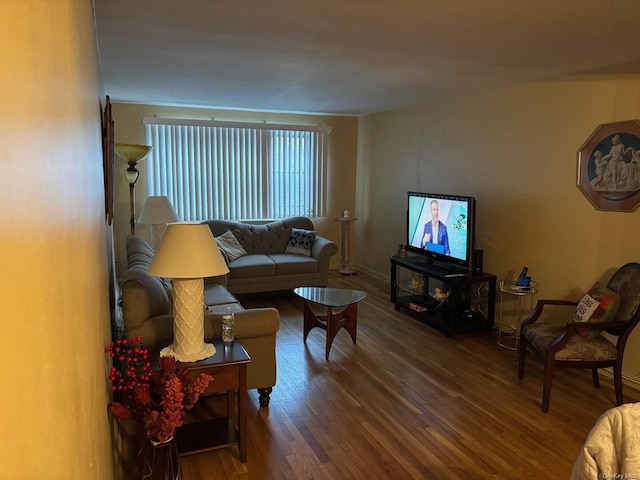 living room featuring wood-type flooring