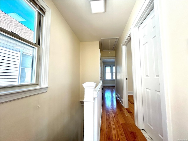 hallway with dark hardwood / wood-style flooring