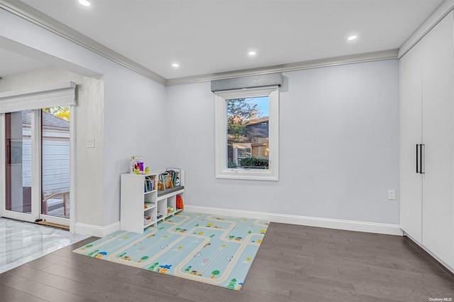 game room with crown molding, plenty of natural light, and wood-type flooring