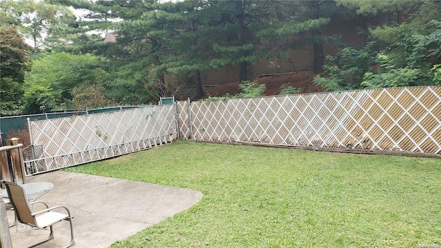 view of yard featuring a patio area