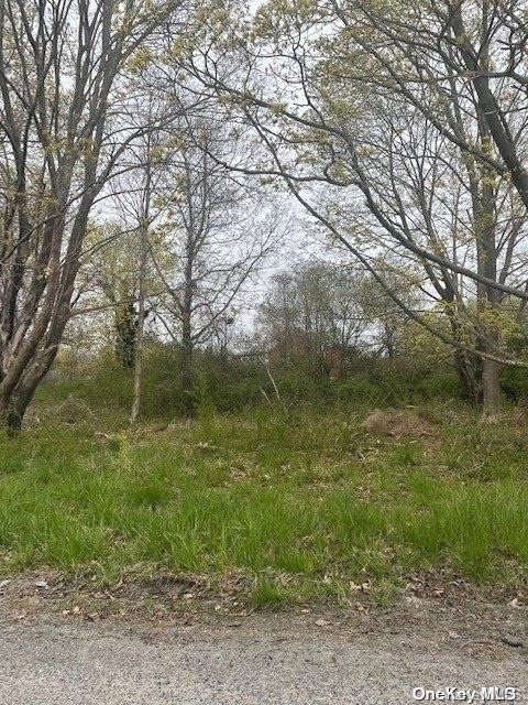 V/L Hickory Rd, Mastic Beach NY, 11951 land for sale