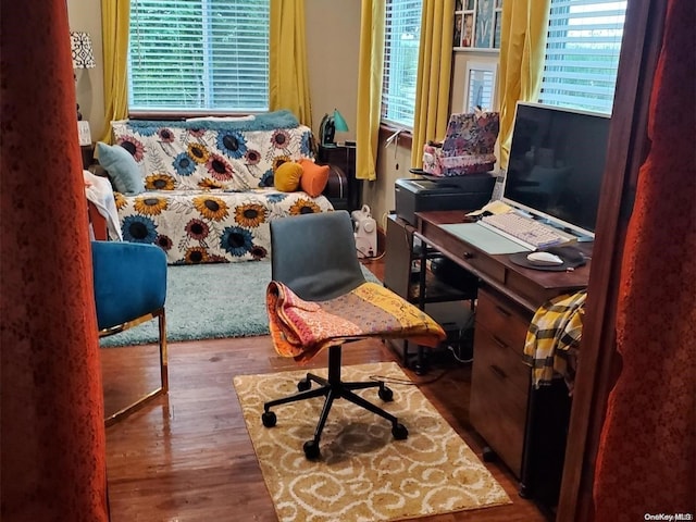 office area featuring wood-type flooring