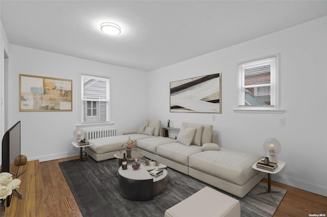 living room featuring radiator heating unit, plenty of natural light, and hardwood / wood-style flooring