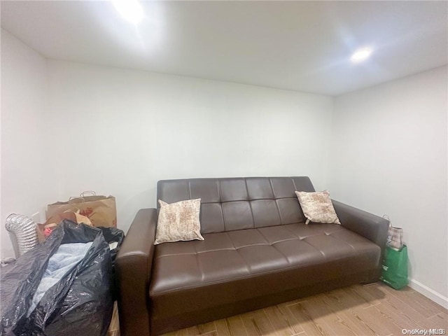 living room with light wood-type flooring