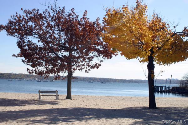 view of water feature with a beach view