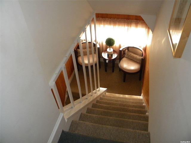 stairs featuring carpet flooring