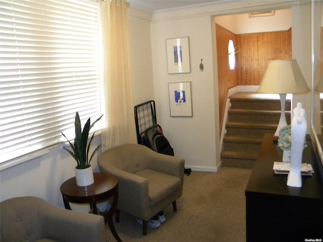 living area featuring carpet floors