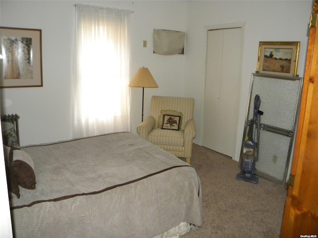 bedroom featuring carpet flooring and a closet