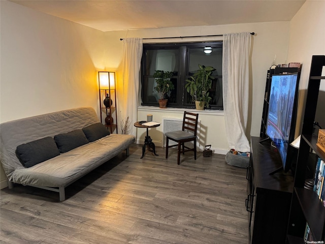 living room featuring wood-type flooring