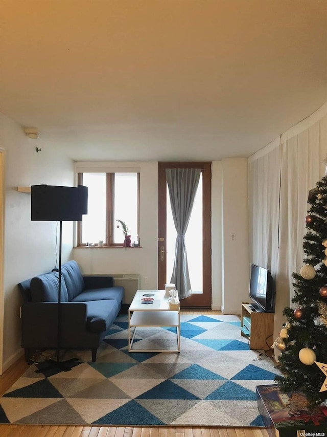 living room with wood-type flooring