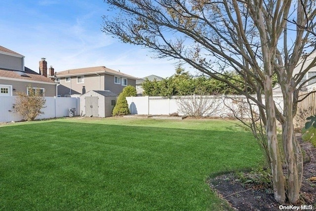 view of yard featuring a shed