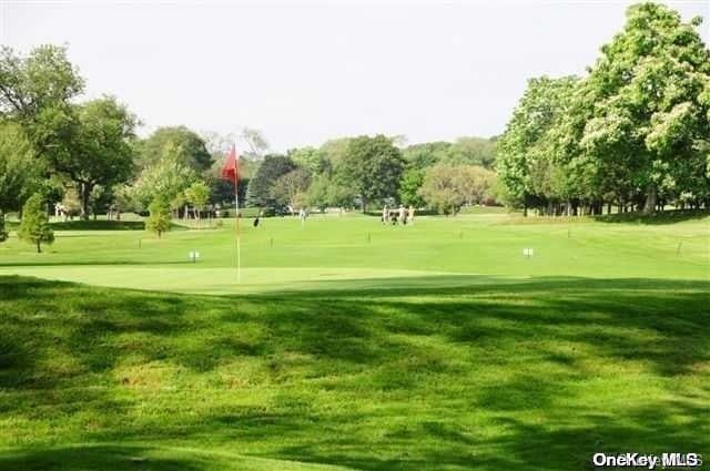 view of property's community with a lawn