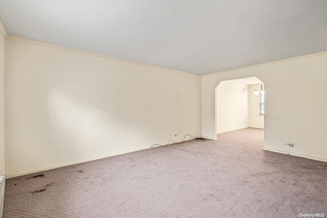 carpeted spare room featuring ornamental molding