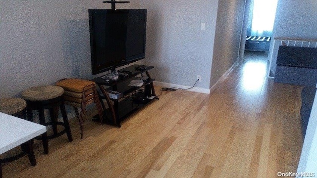 living room with light hardwood / wood-style floors