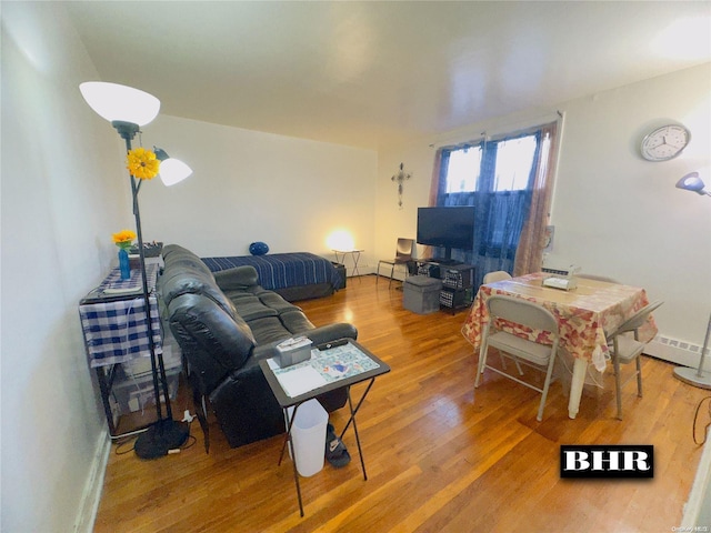 living room featuring hardwood / wood-style floors