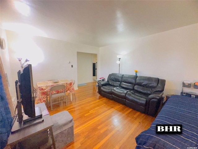 living room featuring hardwood / wood-style flooring