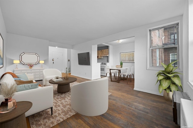 living room with dark hardwood / wood-style floors