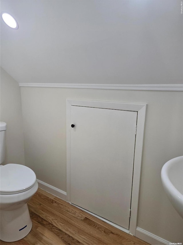 bathroom featuring wood-type flooring, toilet, and sink