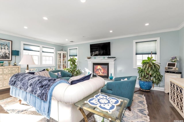 bedroom with dark hardwood / wood-style flooring, ornamental molding, and multiple windows