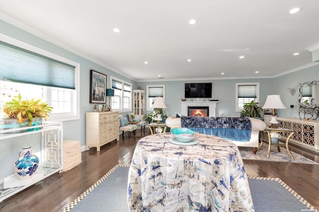 interior space featuring ornamental molding, dark wood-type flooring, and a healthy amount of sunlight