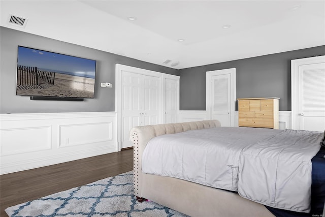 bedroom featuring dark wood-type flooring and multiple closets