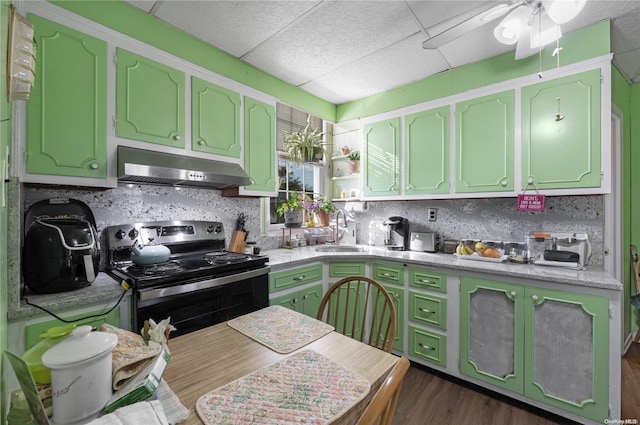 kitchen with sink, green cabinets, dark wood-type flooring, and stainless steel electric range