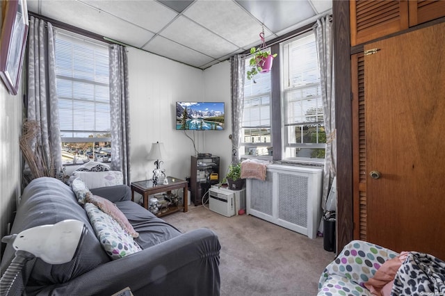 carpeted living room featuring radiator, a drop ceiling, and a healthy amount of sunlight