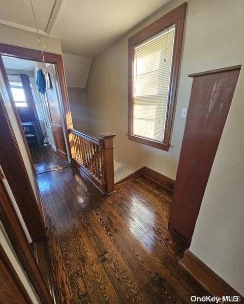 hallway with dark hardwood / wood-style floors and a healthy amount of sunlight