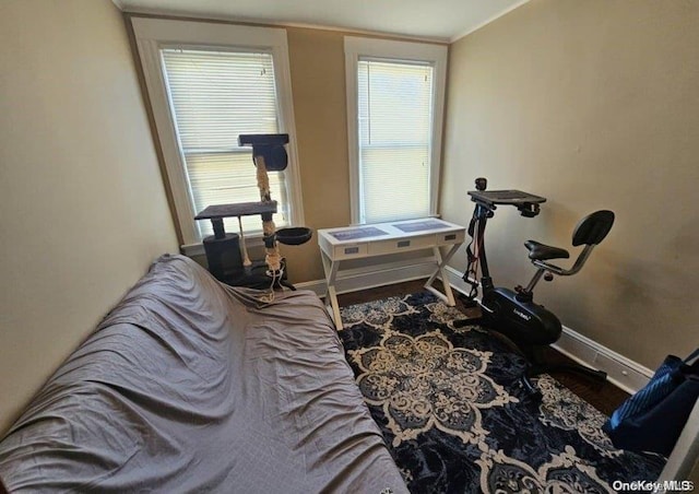 interior space featuring crown molding and hardwood / wood-style floors