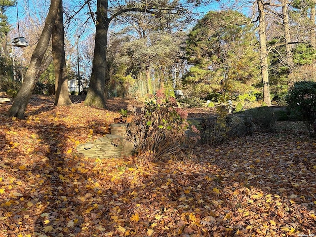 view of landscape