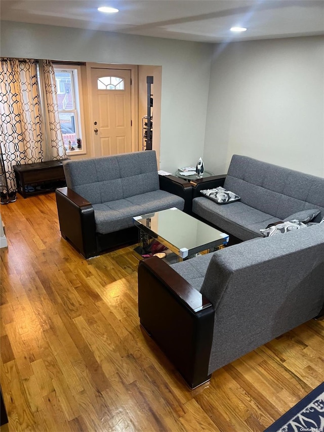 living room featuring hardwood / wood-style floors