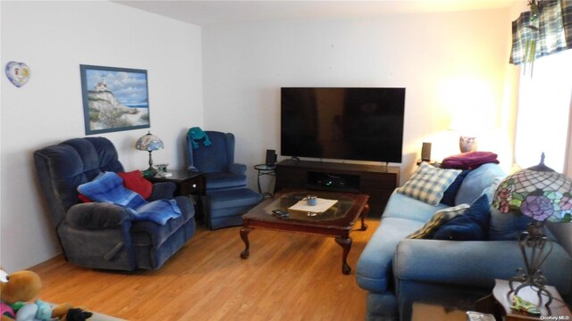 living room with hardwood / wood-style floors
