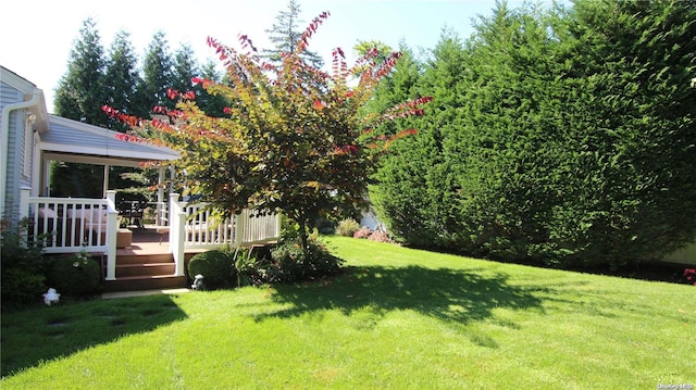 view of yard featuring a deck