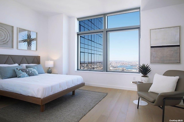 bedroom featuring light hardwood / wood-style floors