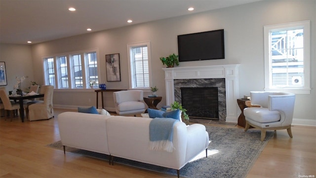 living room with light wood-type flooring and a premium fireplace