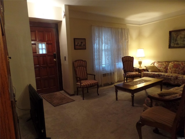 living room featuring radiator heating unit and light carpet