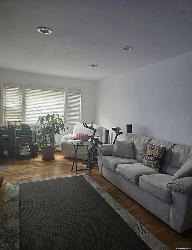 living room with hardwood / wood-style floors