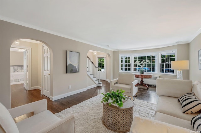 living room with dark hardwood / wood-style flooring, radiator, and crown molding