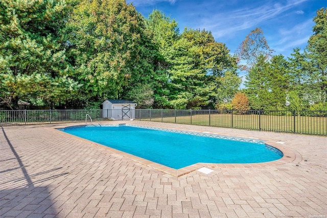 view of swimming pool with a patio area and a shed