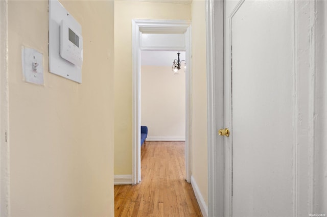 hall featuring light hardwood / wood-style floors