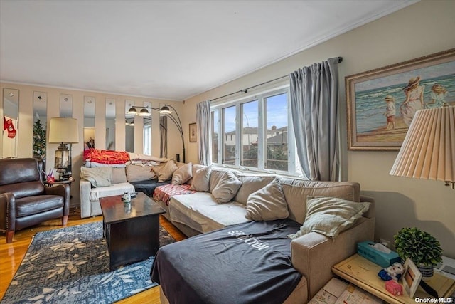 living room featuring hardwood / wood-style flooring