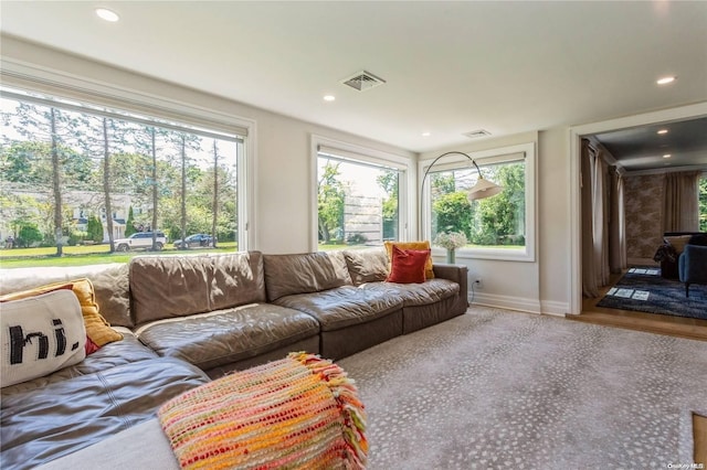 living room featuring a wealth of natural light and hardwood / wood-style floors