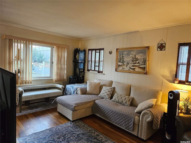 living room with dark hardwood / wood-style flooring, plenty of natural light, and ornamental molding