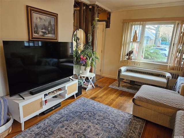 living room featuring wood-type flooring and ornamental molding