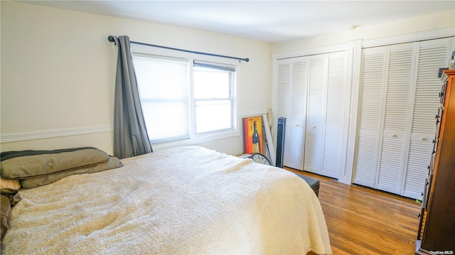 bedroom featuring light wood-type flooring and two closets