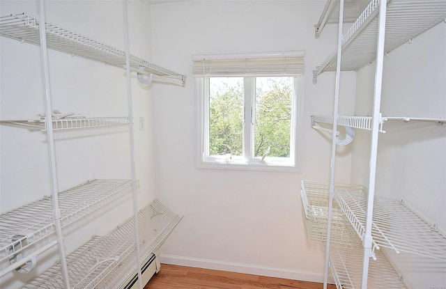 walk in closet featuring wood finished floors