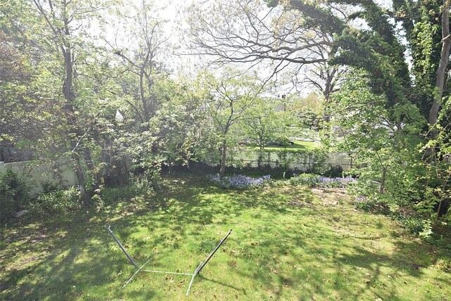 view of local wilderness